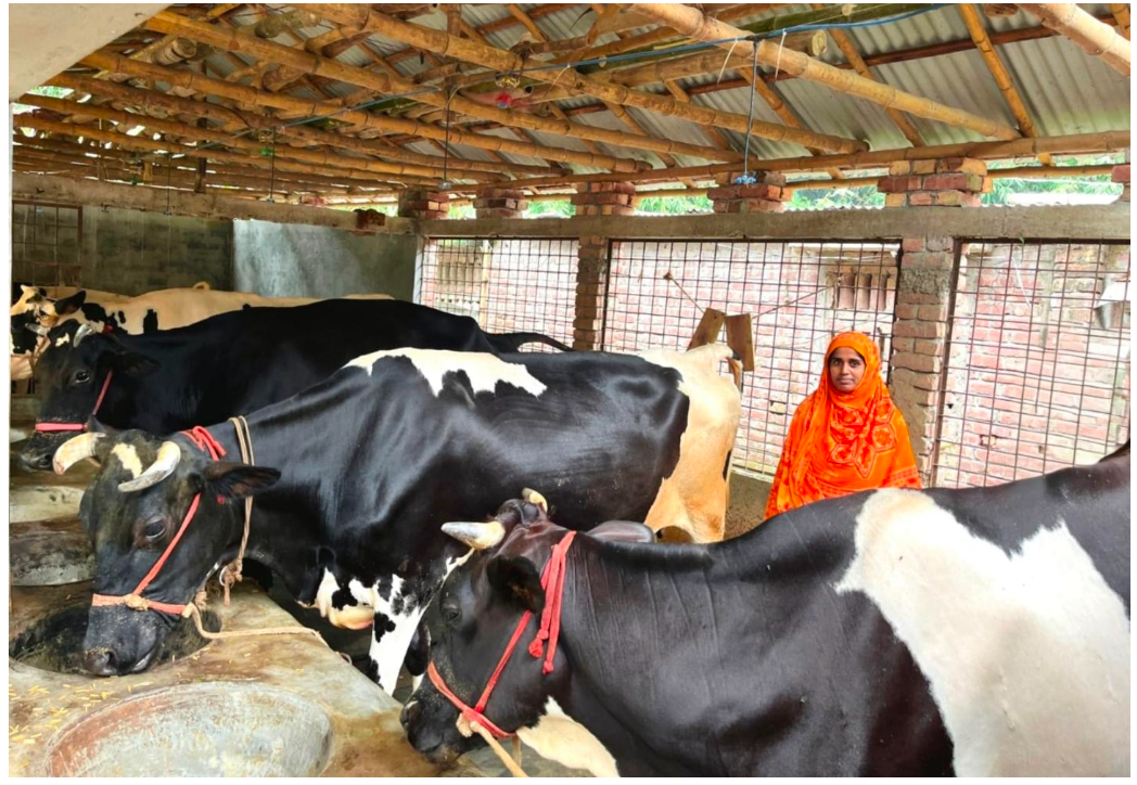 Success Story: Doly Khatun – From Two Cows to a Sustainable Dairy Farm