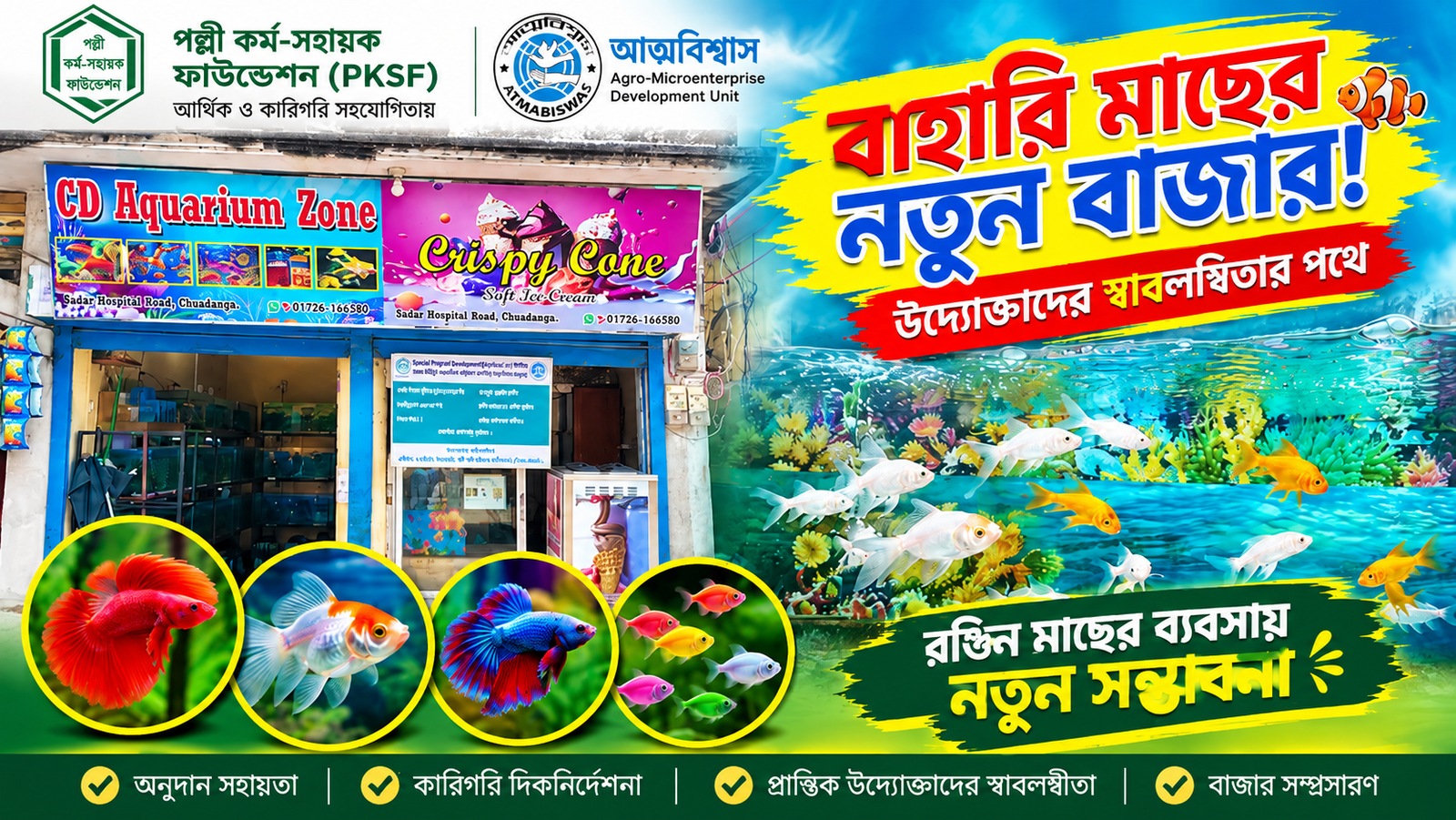 রঙিন মাছের ব্যবসায় নতুন সম্ভাবনা | PKSF ও আত্মবিশ্বাসের সফল উদ্যোগ | ATMABISWAS