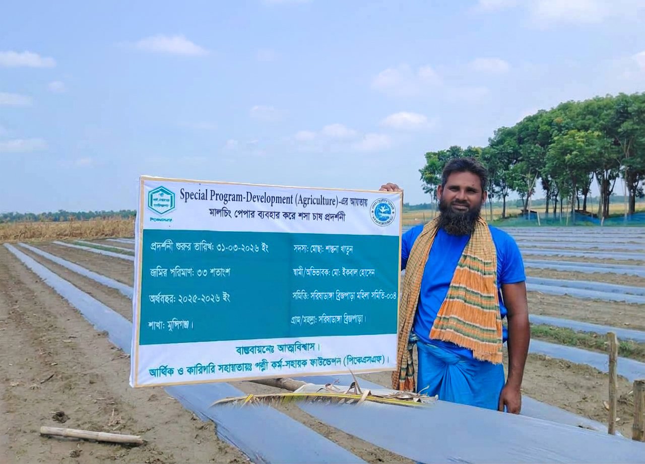 মালচিং পেপার ব্যবহার করে শসা চাষ প্রদর্শনী