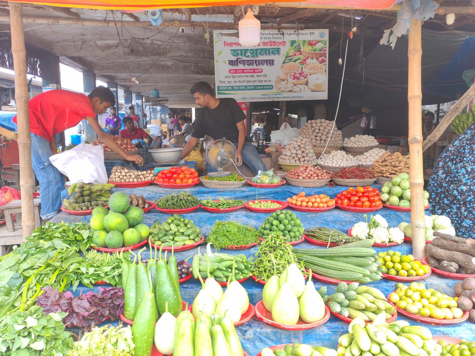 পিকেএসএফ-এর সহযোগিতায় আত্মবিশ্বাস-এর Agro-Microenterprise Development Unit-এর ফসল খাতের উদ্যোগে চুয়াডাঙ্গা বড় বাজারে স্থাপন করা হয়েছে “নিরাপদ সবজি বিক্রয় কেন্দ্র”।