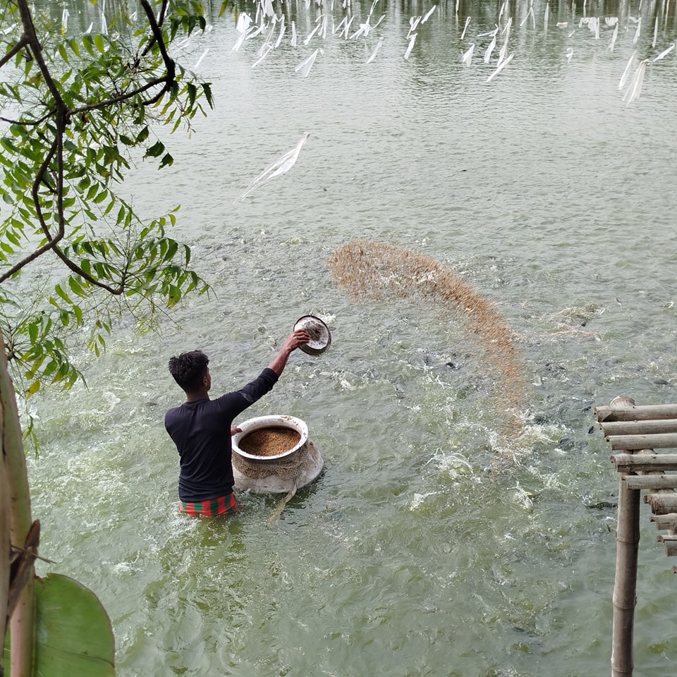 Success of a fisherman